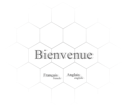 Bienvenu Dans mon Blog
